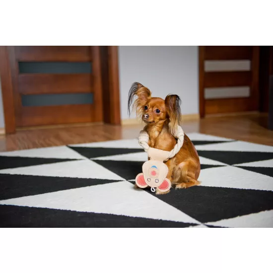 Skórzany miś - zabawka dla psa