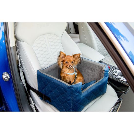 Fotelik samochodowy dla psa lub kota